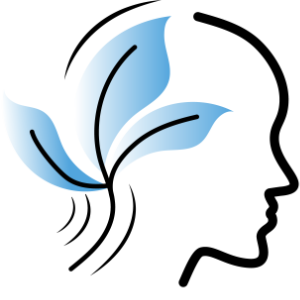 Logo Claude Schreiber
